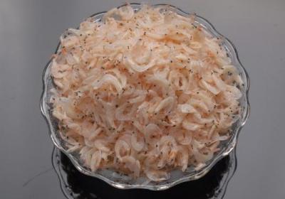 虾,海鲜,过敏