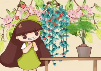 这花嗖嗖长,2个月就爬墙,甲醛靠边站！