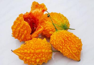 这种“黄苦瓜”,以前遍地是,现在都没卖的,吃起来“甘甜”耐人寻味！
