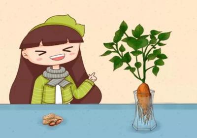 玉米棒子插水里,7天长成小盆栽,邻居看了都惊奇！