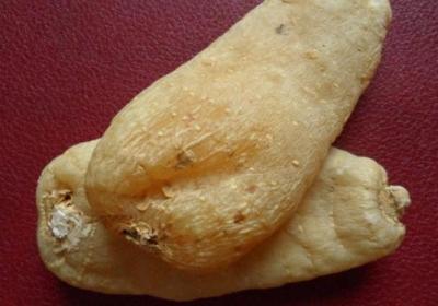 哺乳,天麻,婴儿,宝宝