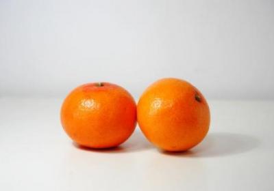 橘子,黄鳝,鳝鱼