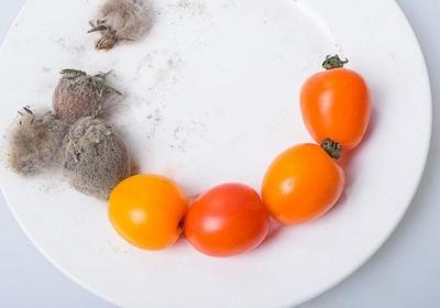 食物,发霉,肠胃
