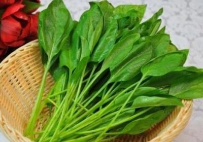 菠菜,结石,蔬菜