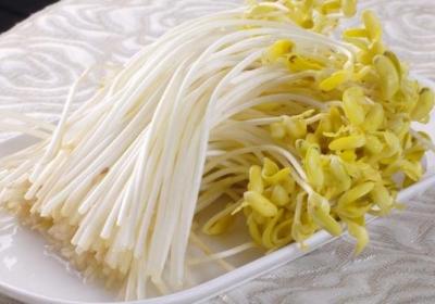 豆芽,黄豆,绿豆