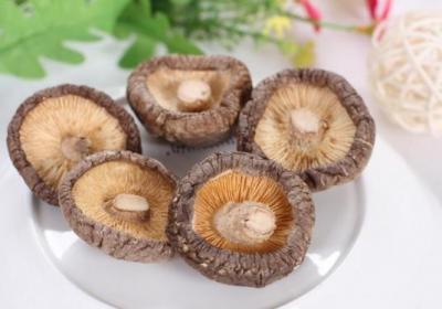 糖尿病,香菇,高血糖,降糖