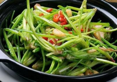 菠菜,菠菜根,蔬菜,青菜