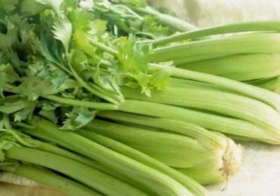 芹菜,蔬菜,青菜