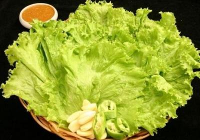 生菜,青菜,蔬菜,保存
