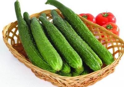 黄瓜,丝瓜,蔬菜,水果