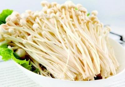 金针菇,蘑菇,香菇,杏鲍菇