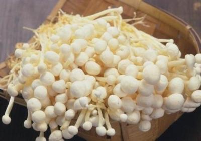 金针菇,蘑菇,香菇,保存