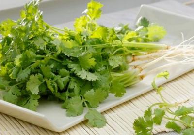 香菜,蔬菜,膳食