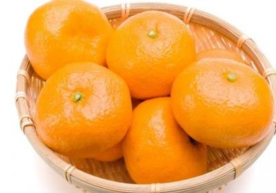 橘子,水果,橙子,止咳