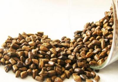 决明子,喝茶,中医,药材