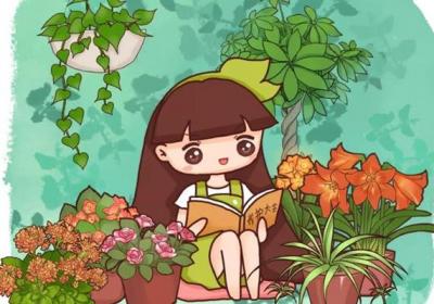 1块钱买盆花,养1年,给1000都不卖！