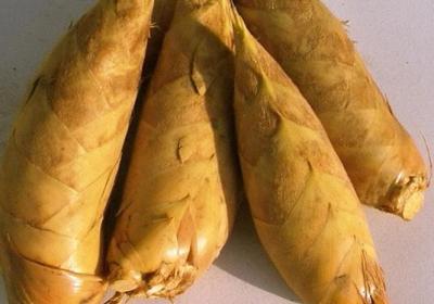 冬笋,蔬菜,膳食