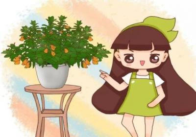 奶奶养的吊兰,竟然爬满小金鱼,狂窜20米拦都拦不住！
