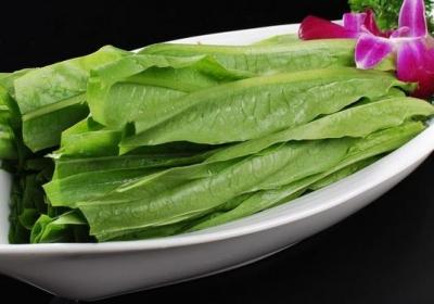 油麦菜,糖尿病,蔬菜,生菜