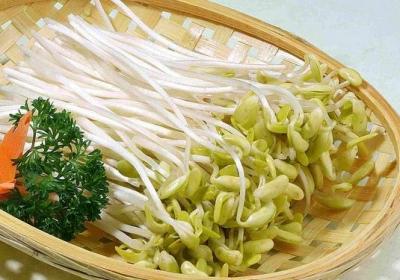 黄豆芽,豆芽,黄豆,绿豆芽