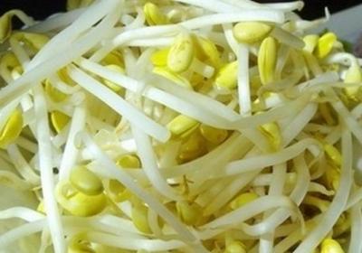 黄豆芽,豆芽,黄豆,绿豆芽