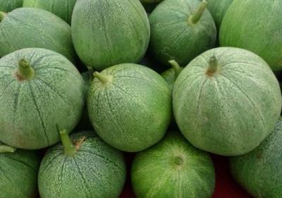 香瓜,牛奶,哈密瓜,酸奶