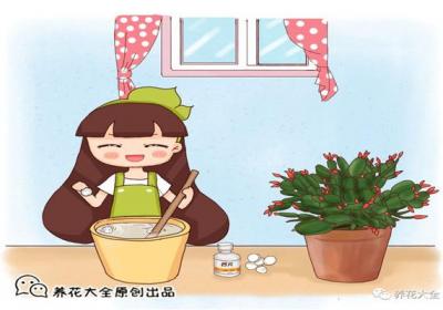 过期药膏你别扔！拿来养花,叶子油亮花朵呼呼冒！