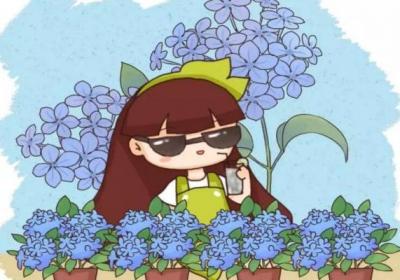 家里养这15种花,清凉解暑,空调都不用开了！