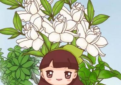 夏天热成狗？快养这8种花,1盆顶10个空调！
