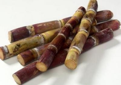 降火,上火,养生