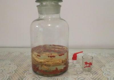 枸杞,三七,中药,膳食