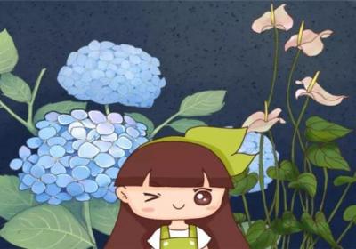这20种花,越阴凉长得越旺,越晒越容易死！