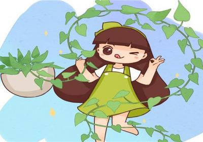 这6种花简直是水桶,越浇越旺,缺水立马死翘翘！