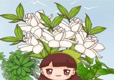 春天啥花都可以不养,唯独这6种,不养亏大了！