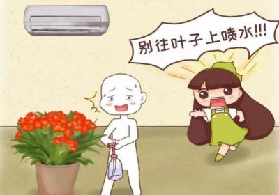 这10种花,千万别朝叶片喷水,否则喷1盆死1盆！