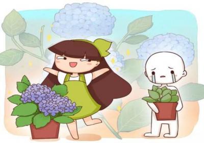 这花比法国香水还好闻,一闻就上瘾,家里满满香味儿！