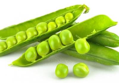 青豆,豌豆,豆子,黄豆