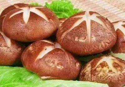 香菇,蘑菇,金针菇,食用菌