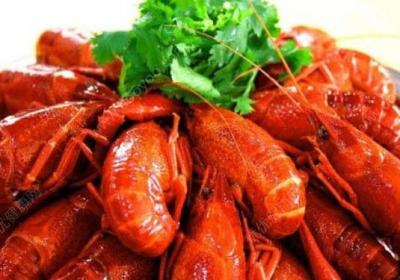 龙虾,食物,膳食,夏天