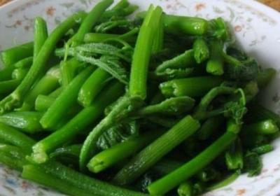 南瓜藤,南瓜,冬瓜,蔬菜