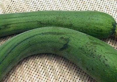 丝瓜,蔬菜,苦菜,黄瓜
