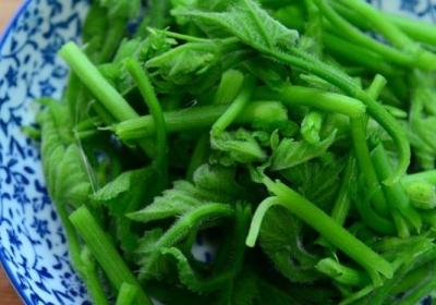 南瓜藤,龙虾,南瓜,螃蟹