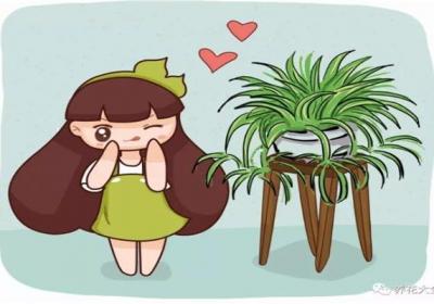 吊兰绿萝怎么养长的快？大神教你养出瀑布！