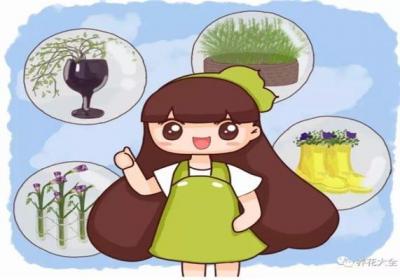 老师、厨师、修车工…的养花日常,竟然相差这么大！