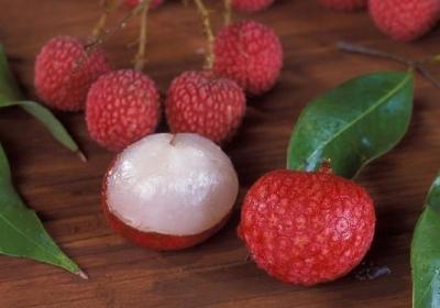 荔枝,上火,水果,降火