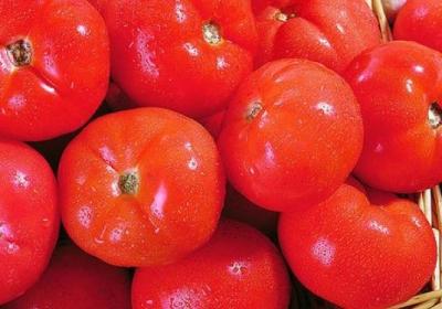 蔬菜,芹菜,西红柿,胡萝卜