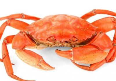 螃蟹,中毒,海鲜,龙虾