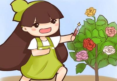 花期最长的10种月季,种一棵赏大半年
