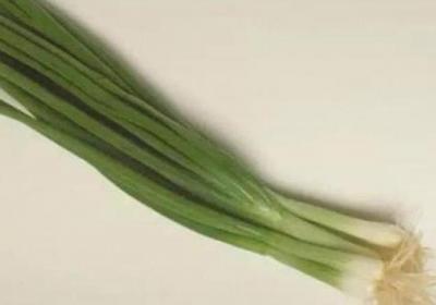 细菌,鸡蛋,哈密瓜