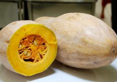 南瓜,膳食,蔬菜